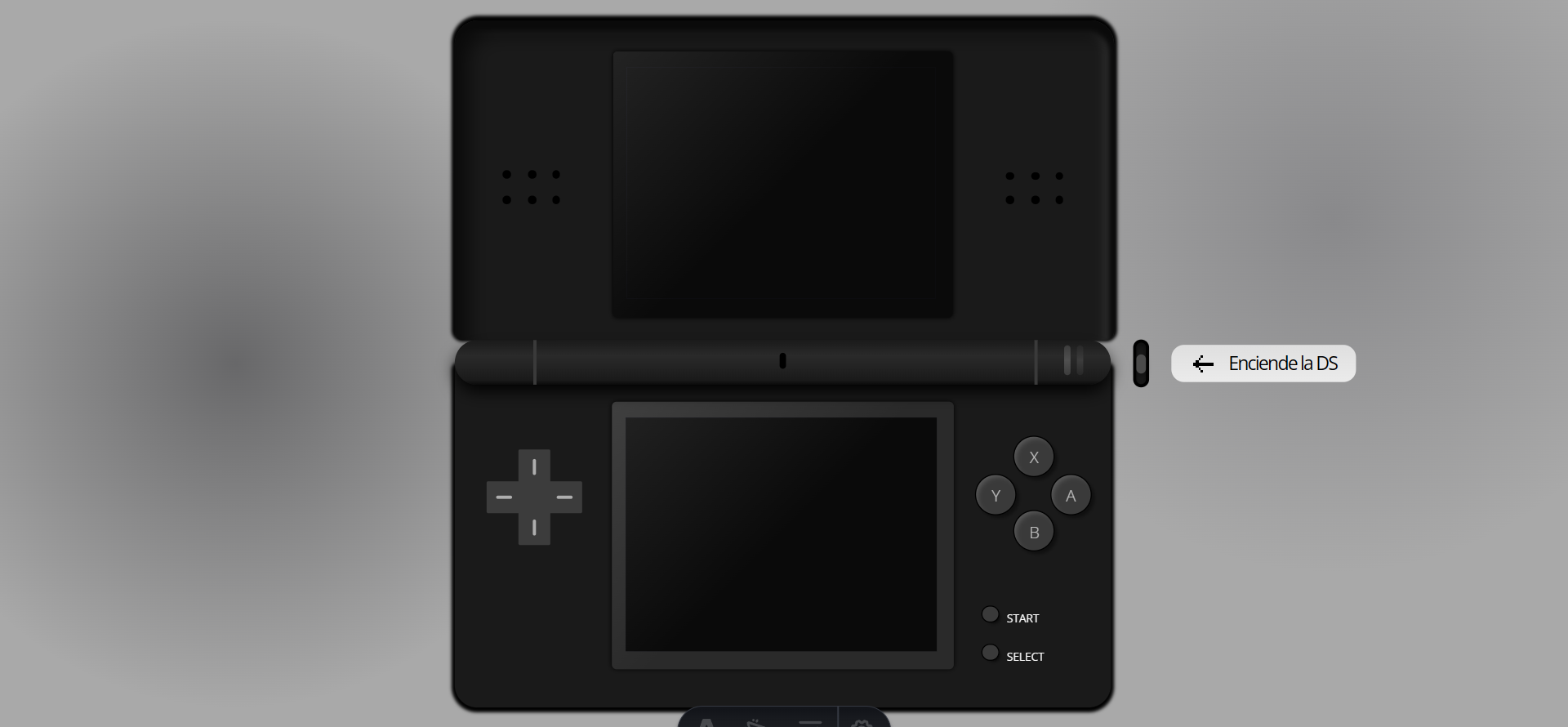 Nintendo DS